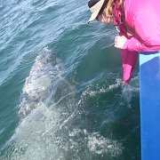 IMG 0001 2 (291)